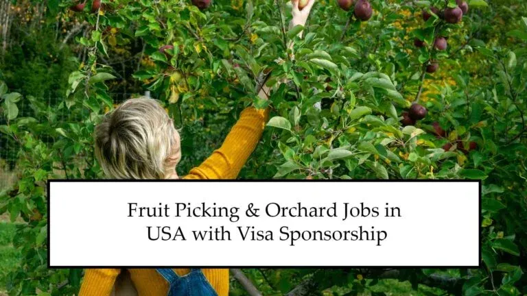Fruit Picking & Orchard Jobs in USA 2025 with Visa Sponsorship | Apply Now