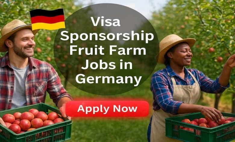 Fruit Farm Jobs in Germany with Visa Sponsorship 2025 (€27 Per Hour)
