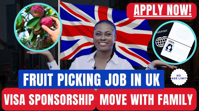 Fruit Picking Jobs in the UK with Visa Sponsorship 2025 (£10–£12 Per Hour)