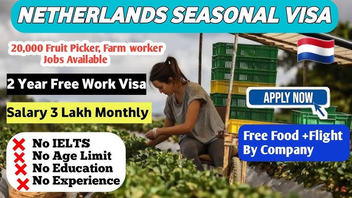 Netherlands Fruit Picking Jobs