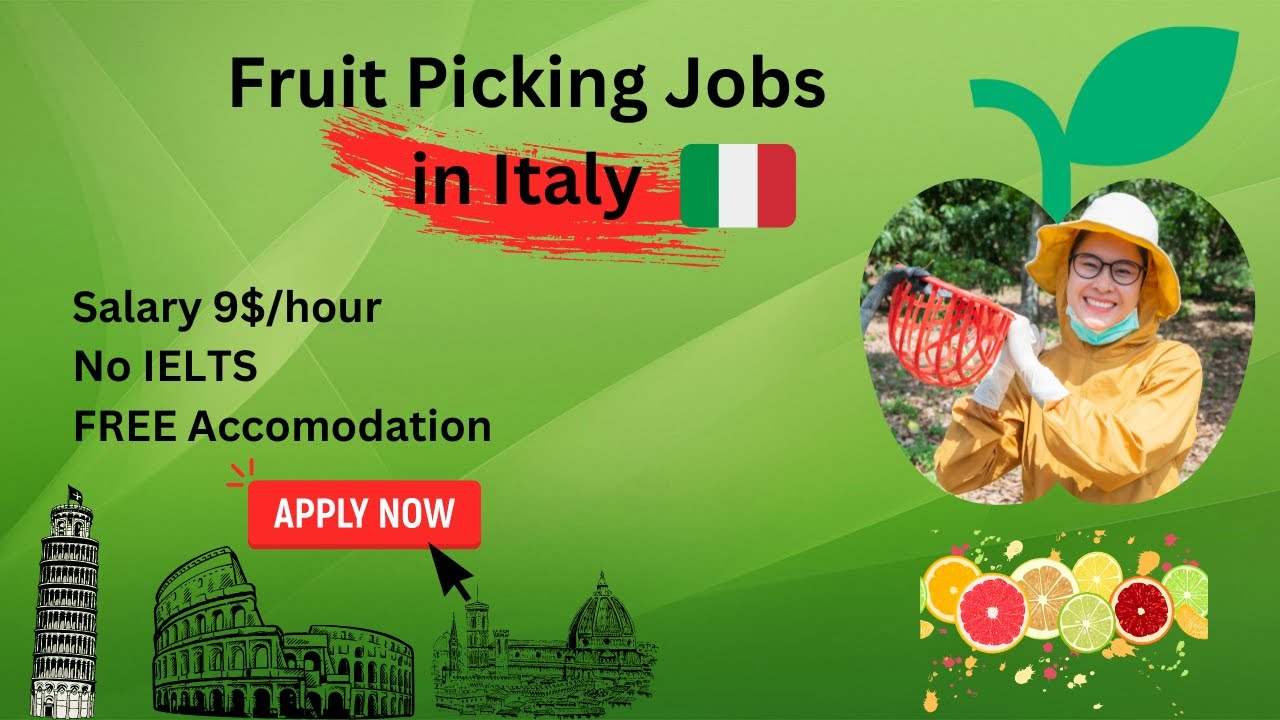 Seasonal Fruit Picking Jobs in Italy 2025